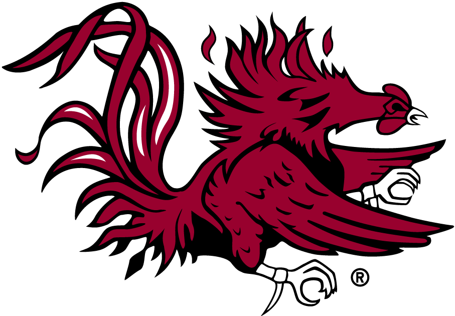 South Carolina Gamecocks 1983-Pres Secondary Logo iron on paper